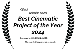 Best Cinematic Project Of The Year